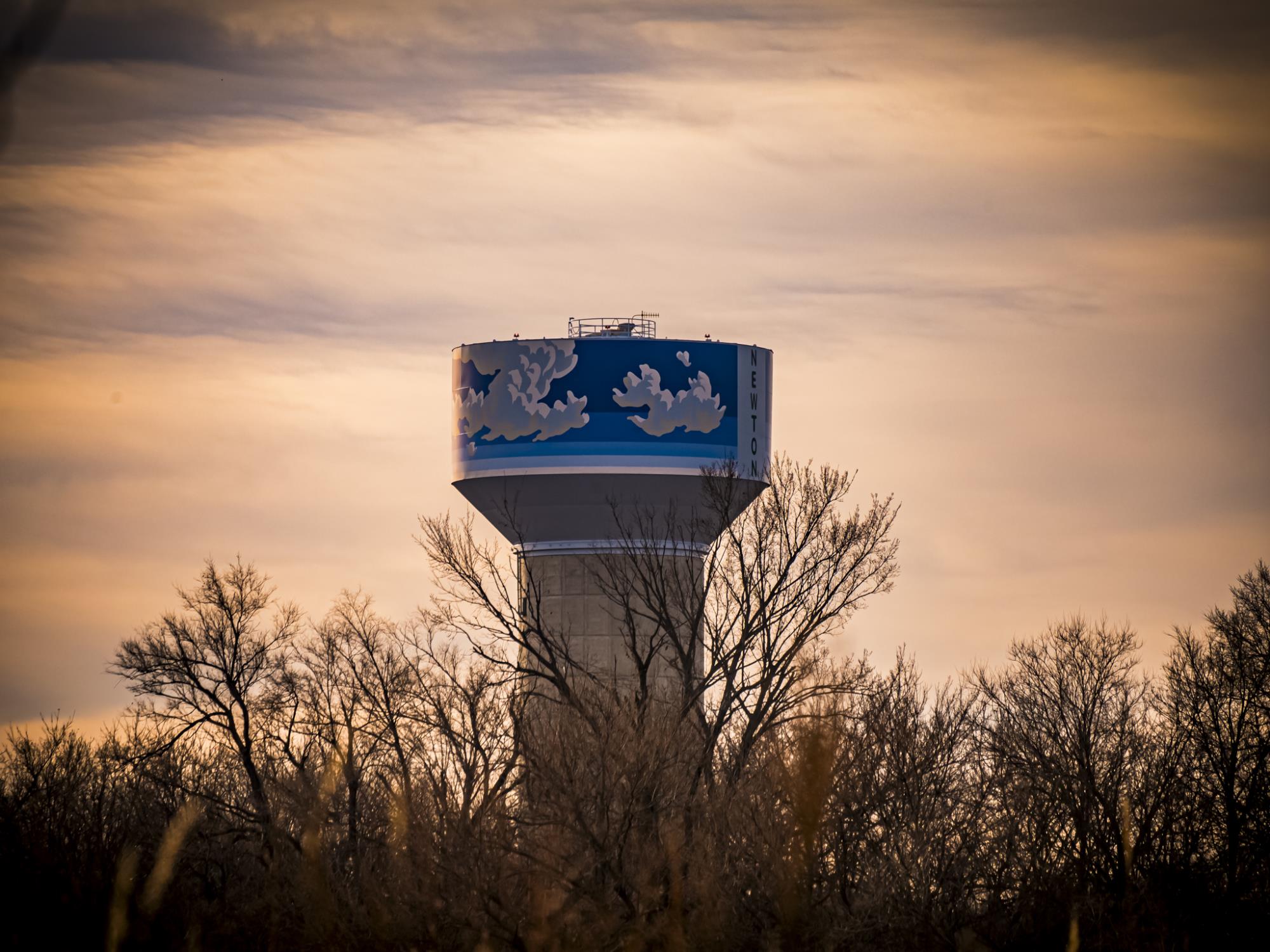 Towering Above the Trees